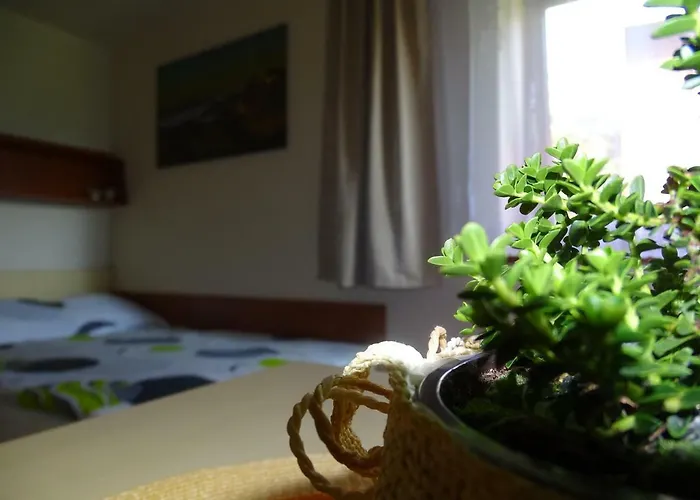 Goscinne A.t. Mikolajczyk 民宿